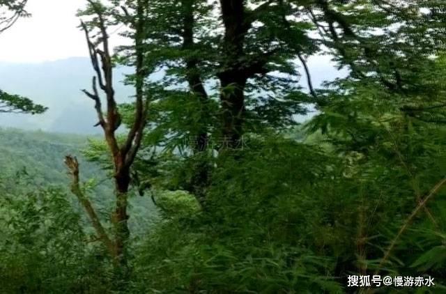 天银机电取得CN108817953B专利，能满足成套起动器自动装配装置的自动化装配要求