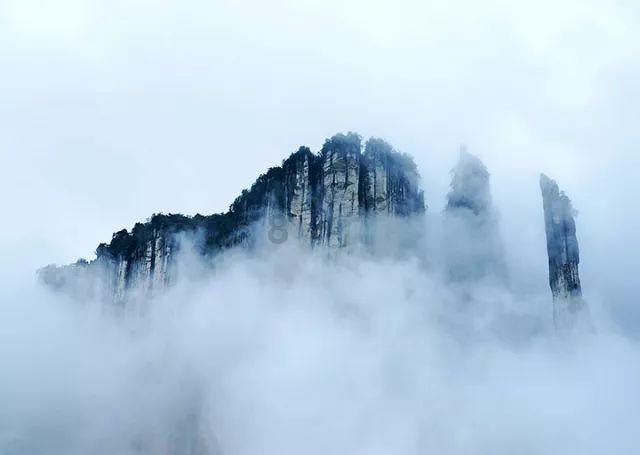 饿狮救援